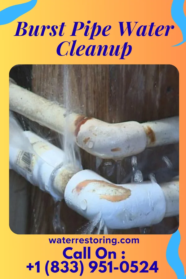 Burst Pipe Water Cleanup in New Eucha, OK